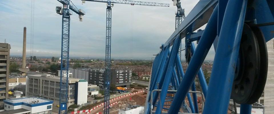 crane1 crane1